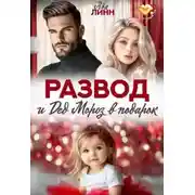 Постер книги Развод и Дед Мороз в подарок