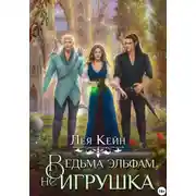 Постер книги Ведьма эльфам не игрушка!