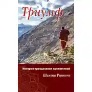 Постер книги Триумф. История преодоления препятствий
