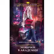 Постер книги Новички в академии