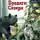 Джеймс Оливер Кервуд - Бродяги Севера