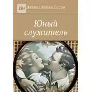 Постер книги Юный служитель