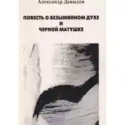 Постер книги Повесть о безымянном духе и черной матушке