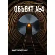 Постер книги Объект №4. Амурский артефакт
