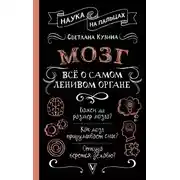 Постер книги Мозг. Всё о самом ленивом органе