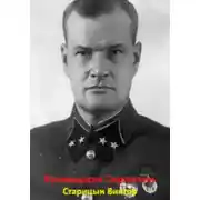 Постер книги Командарм Серпилин