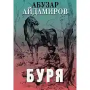 Постер книги Буря