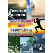 Постер книги Бегущий по мирам – 2. Испытание