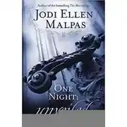 Постер книги Одна ночь:открытия