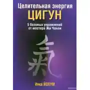 Постер книги Целительная энергия цигун
