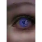 Постер книги История Маруси