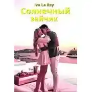 Постер книги Солнечный зайчик