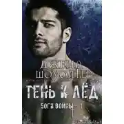 Постер книги Тень и Лёд