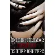 Постер книги Первый долг