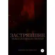 Постер книги Застрявшие между жизнью и смерти