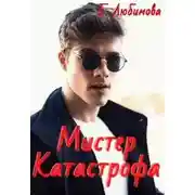 Постер книги Мистер Катастрофа