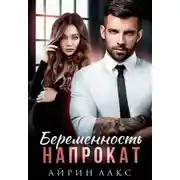 Постер книги Беременность напрокат