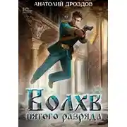 Постер книги Волхв пятого разряда