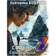 Постер книги Стихийница
