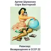 Постер книги Ревизор: возвращение в СССР 22