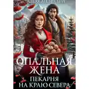 Постер книги Опальная жена. Пекарня на краю севера