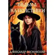 Постер книги Ведьма на полставки