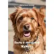 Постер книги Быль о звездном Жужике