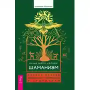 Постер книги Шаманизм. Личные поиски единения с природой и творением