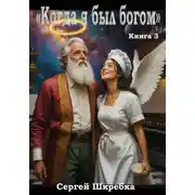 Постер книги Когда я был богом. Книга 3