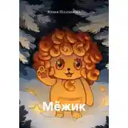 Постер книги Мёжик