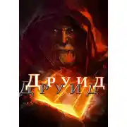 Постер книги Друид