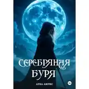 Постер книги Серебряная буря