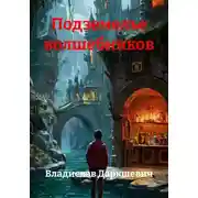 Постер книги Подземелье волшебников