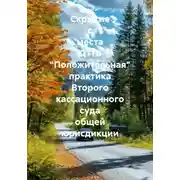 Постер книги Скрытие с места ДТП. «Положительная» практика Второго кассационного суда общей юрисдикции