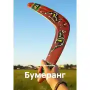 Постер книги Бумеранг