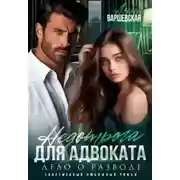 Постер книги Недотрога для адвоката. Дело о разводе