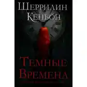Постер книги Темные времена