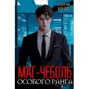 Постер книги Маг-чеболь особого ранга