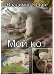 Владимир Юдин - Мой кот