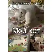 Постер книги Мой кот