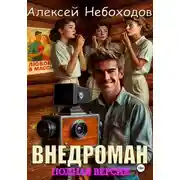 Постер книги Внедроман. Полная версия