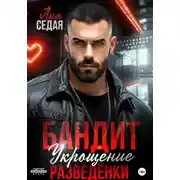 Постер книги Бандит. Укрощение разведенки