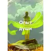 Постер книги Опыт души