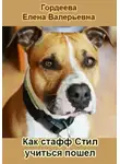 Елена Гордеева - Как стафф Стил учиться пошел