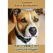 Постер книги Как стафф Стил учиться пошел