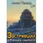 Постер книги Застрявший в Ревущем лабиринте