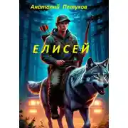 Постер книги Елисей