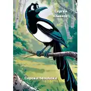 Постер книги Сорока-белобока