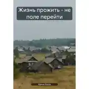 Постер книги Жизнь прожить – не поле перейти