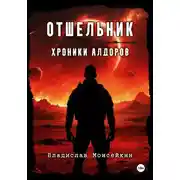 Постер книги Хроники Алдоров. Отшельник